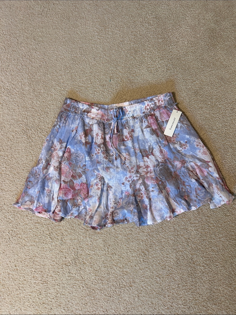 Francesca's Collections Light Blue Floral Skater Skirt